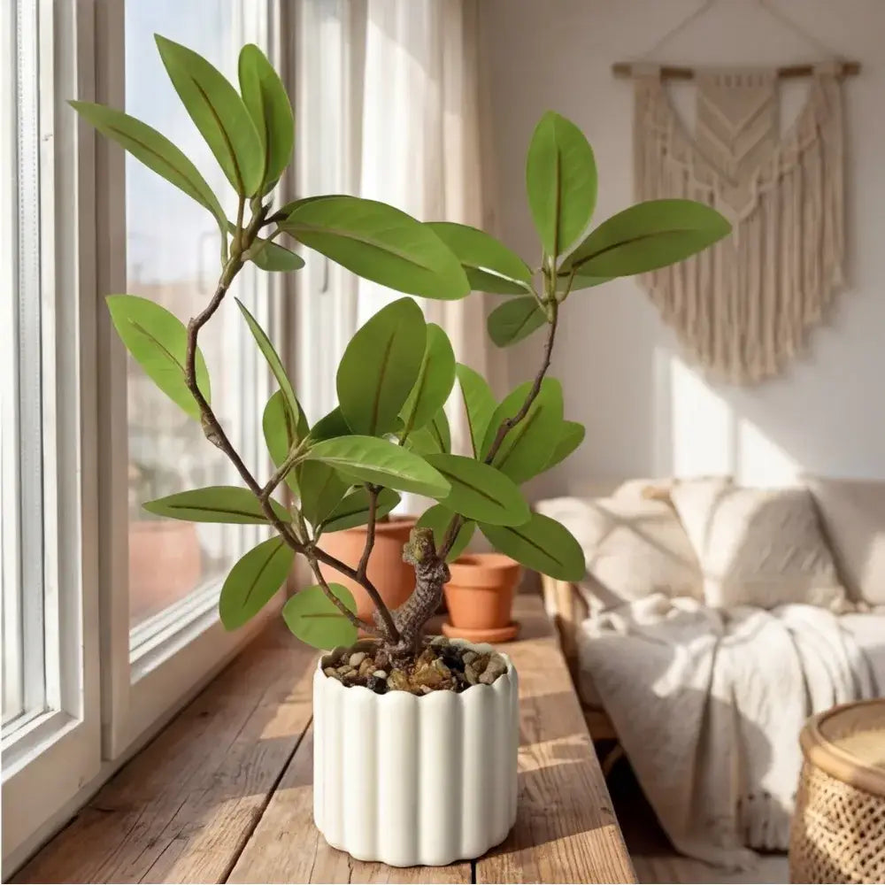 Planta Decorativa Artificial Realista - Planta Decorativa