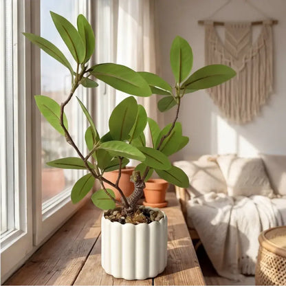 Planta Decorativa Artificial Realista - Planta Decorativa