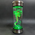 Embrião Alienígena Luminoso – Um Alien no seu Quarto