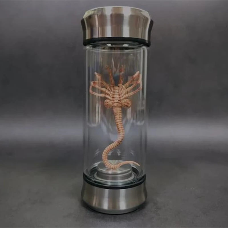 Embrião Alienígena Luminoso – Um Alien no seu Quarto