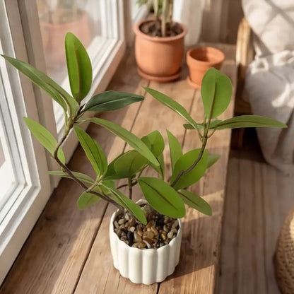 Planta Decorativa Artificial Realista - Planta Decorativa