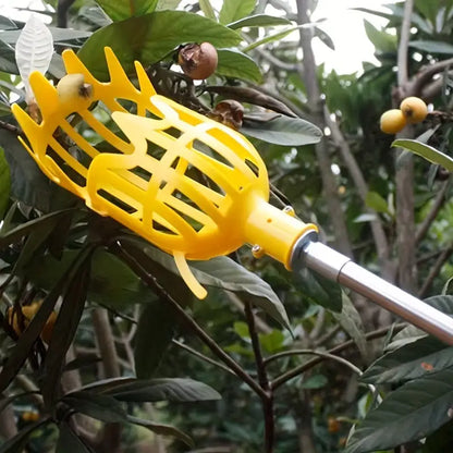 Cesto Colhedor de Frutas Fargos