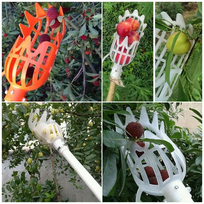 Cesto Colhedor de Frutas Fargos