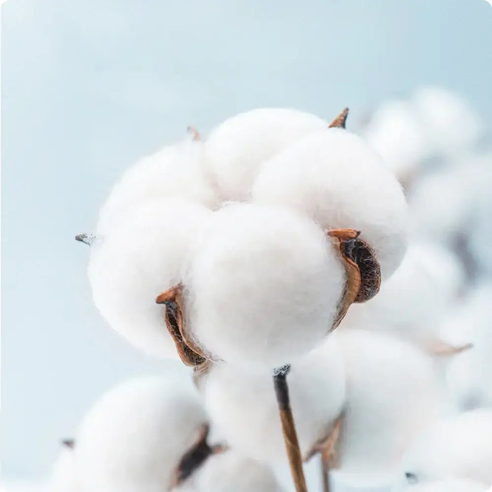 Jogo de Lençol 100% Algodão Berry - 400 Fios - Jogo de Lençol 100% Algodão